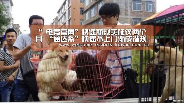 开云电竞