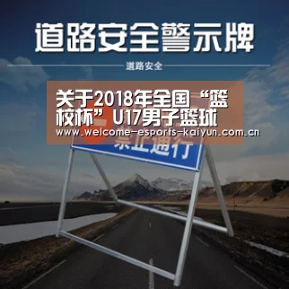 关于2018年全国“篮校杯”U17男子篮球预赛南区(福建龙岩)裁判员安排的函“开云电竞”(图1) 电竞官网