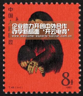 企业助力开创中外合作办学新局面‘开云电竞’(图2) LOL直播