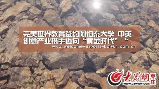  电竞官网