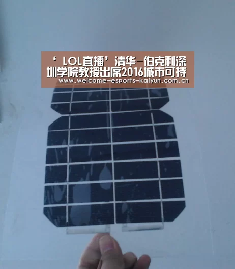 ‘ LOL直播’清华-伯克利深圳学院教授出席2016城市可持续建设国际会议(图4) 开云电竞