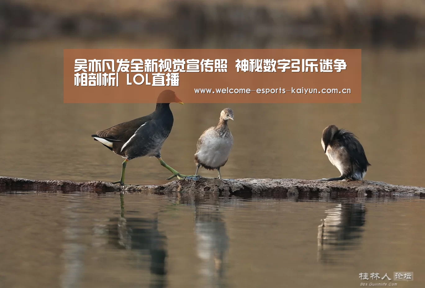 吴亦凡发全新视觉宣传照 神秘数字引乐迷争相剖析| LOL直播(图1) 开云电竞