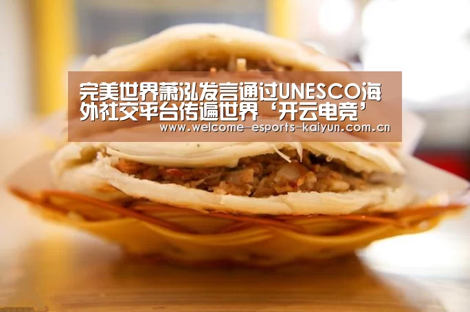 完美世界萧泓发言通过UNESCO海外社交平台传遍世界‘开云电竞’(图3) LOL直播