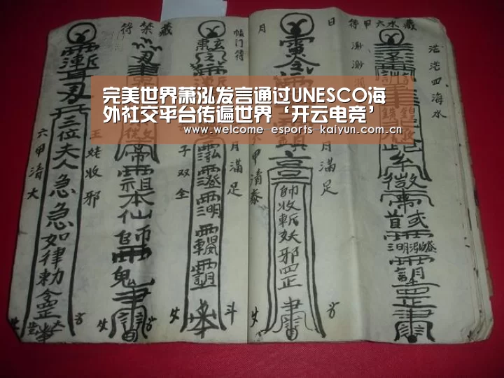 完美世界萧泓发言通过UNESCO海外社交平台传遍世界‘开云电竞’(图2) 电竞官网